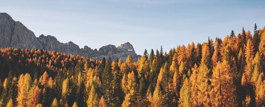 How Seasonal Changes Affect Our Bodies