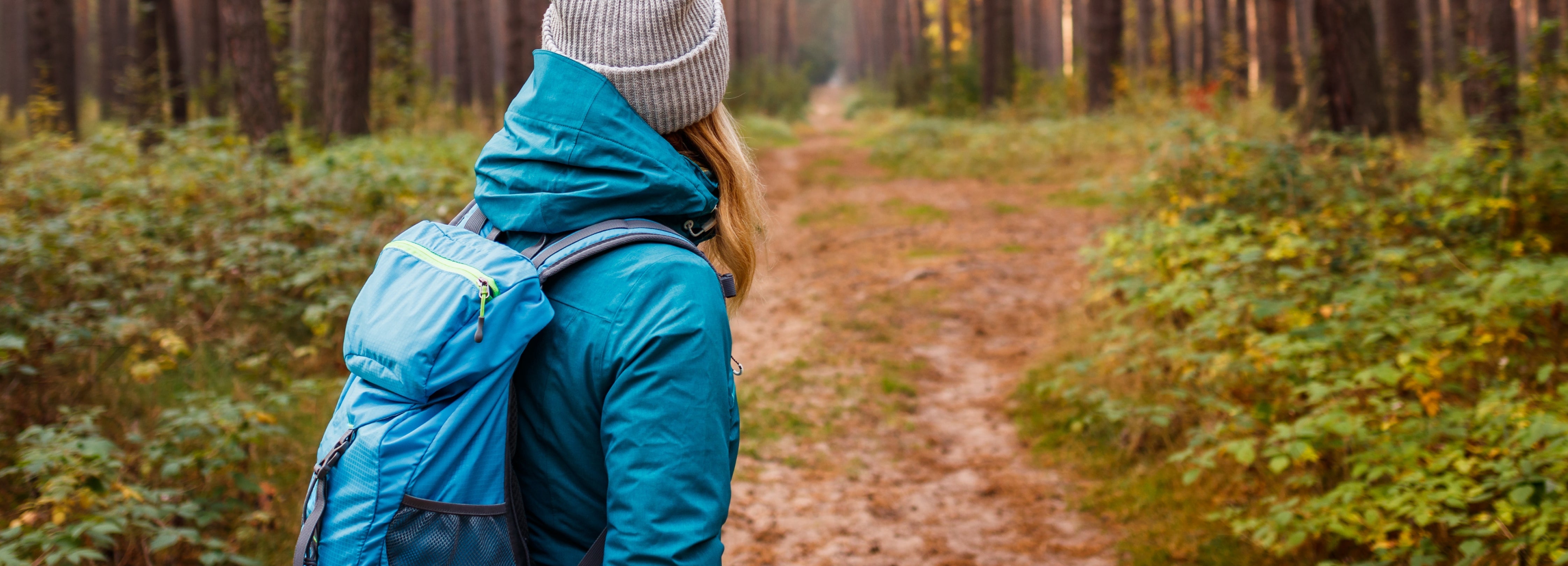 Forest Bathing 101: Your Guide to Nature's Ultimate Reset – Zhou Nutrition