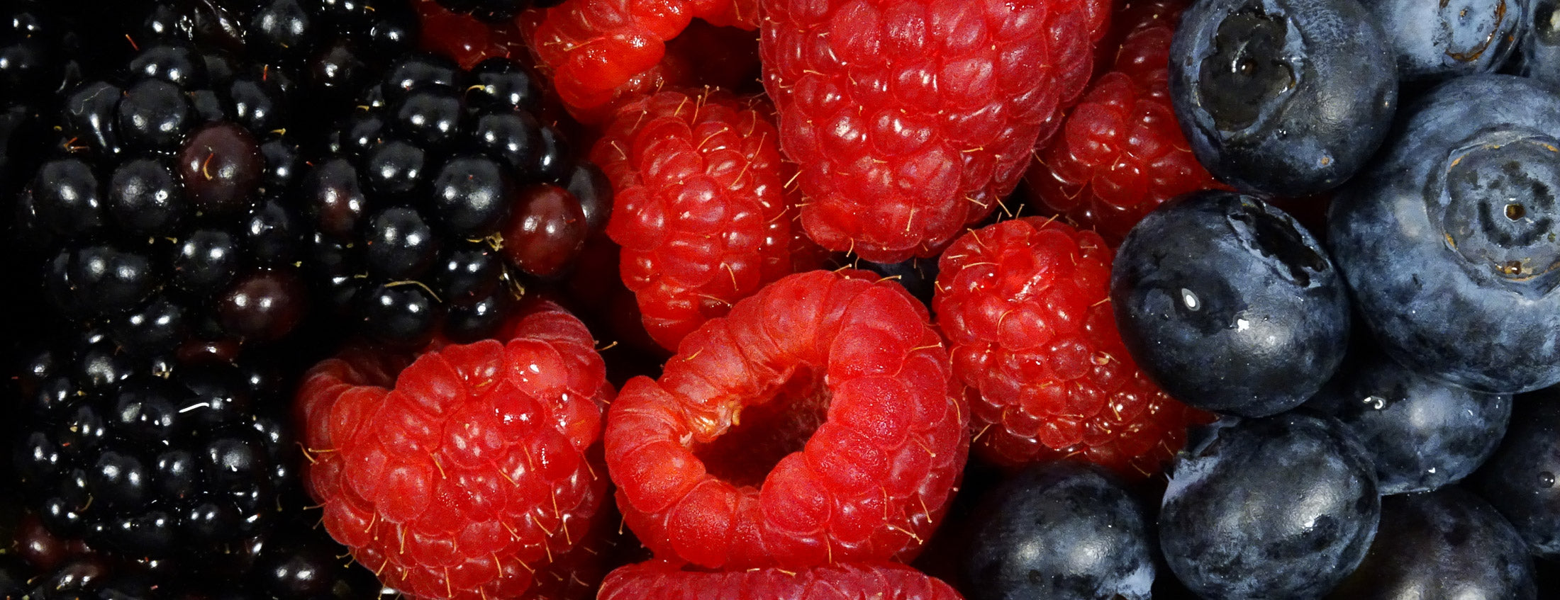 What is a Superfruit and Why Are They Important? – Zhou Nutrition