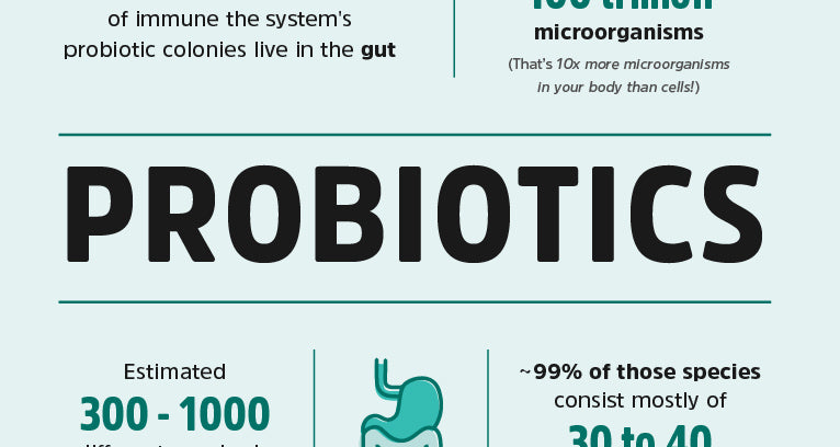 The Benefits of Probiotics & Where to Find Them