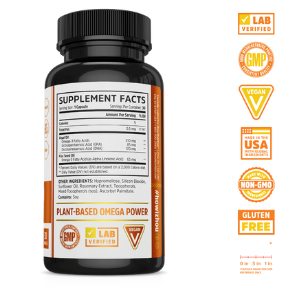 Plant Based Omegas + Daily Boost Bundle